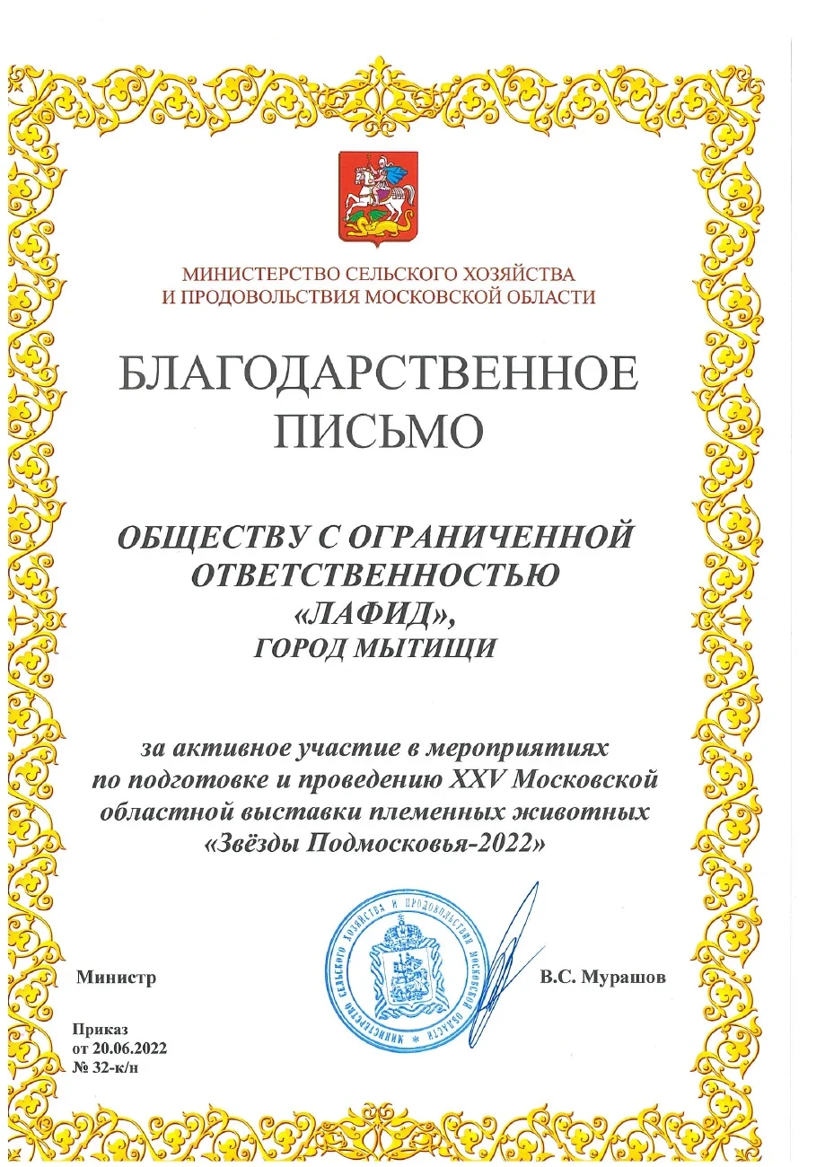 Благодарственное письмо — Звёзды Подмосковья · 2022