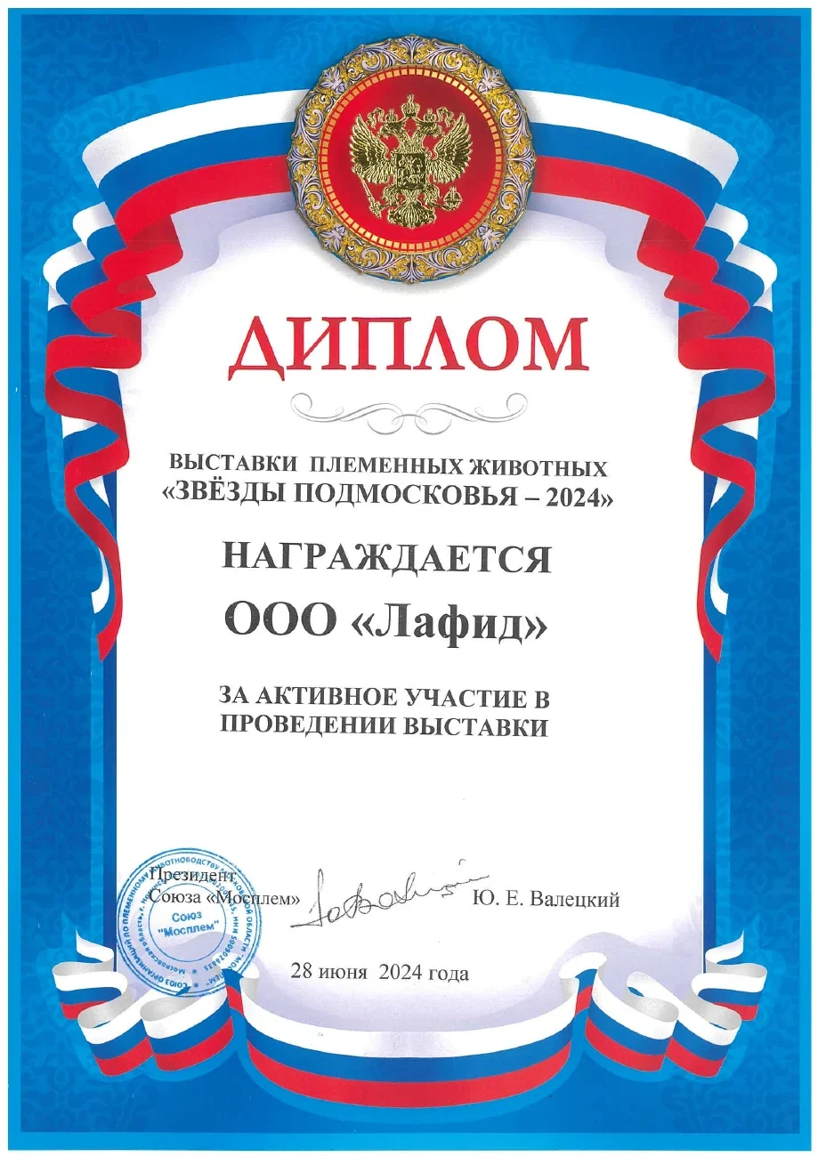 Диплом за участие — Звёзды Подмосковья · 2024