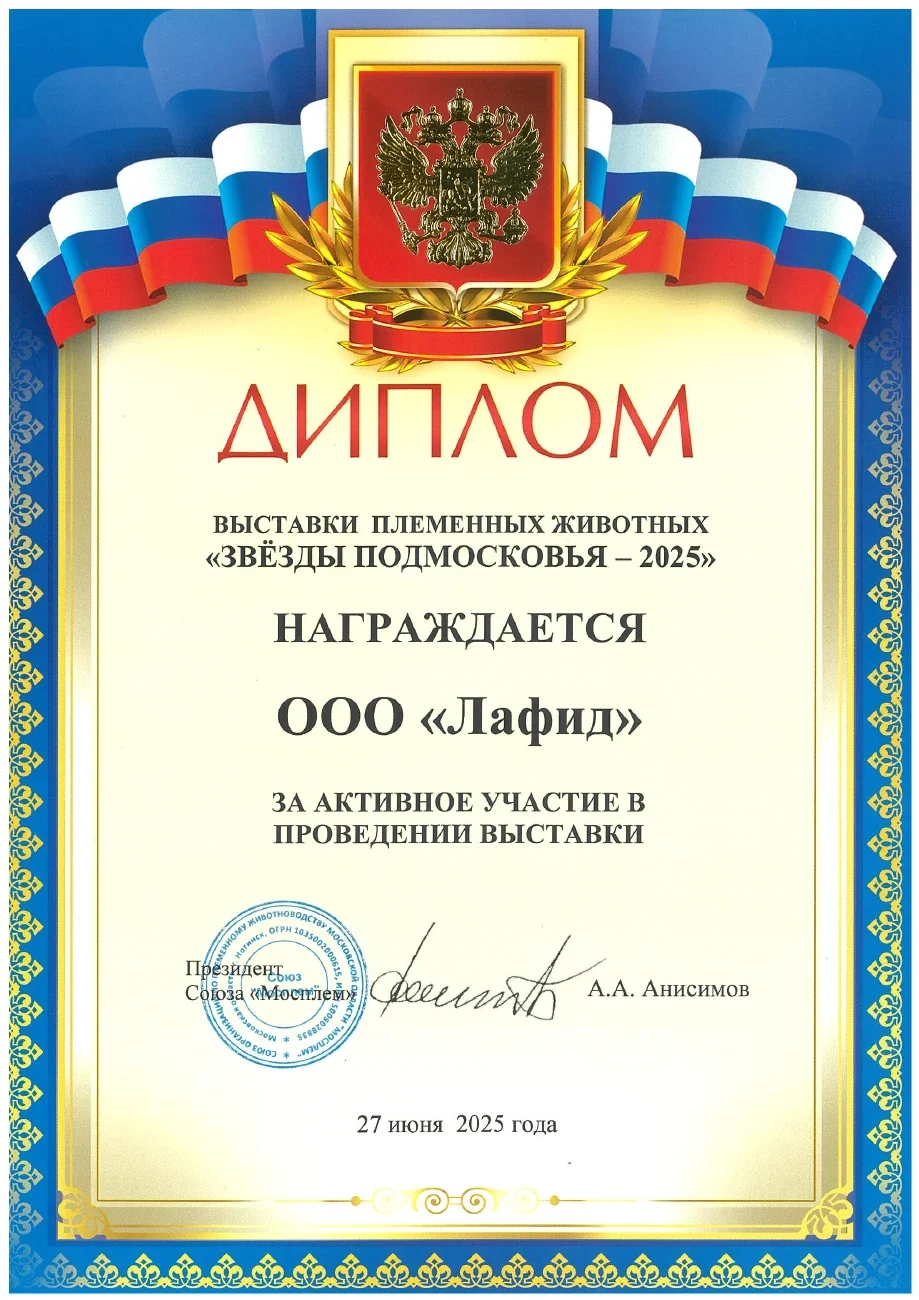 Диплом за участие — Звёзды Подмосковья · 2025